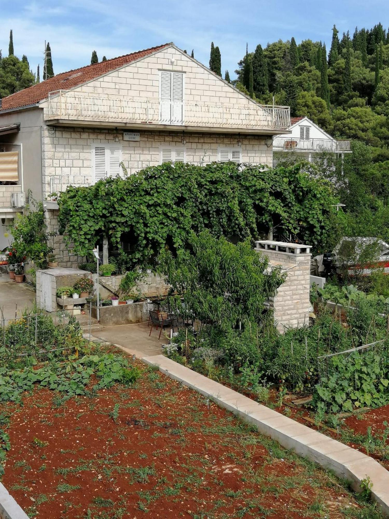 Apartments Marita كورتْشولا الغرفة الصورة